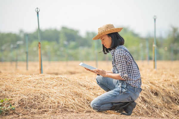 Female agronomist in field taking notes