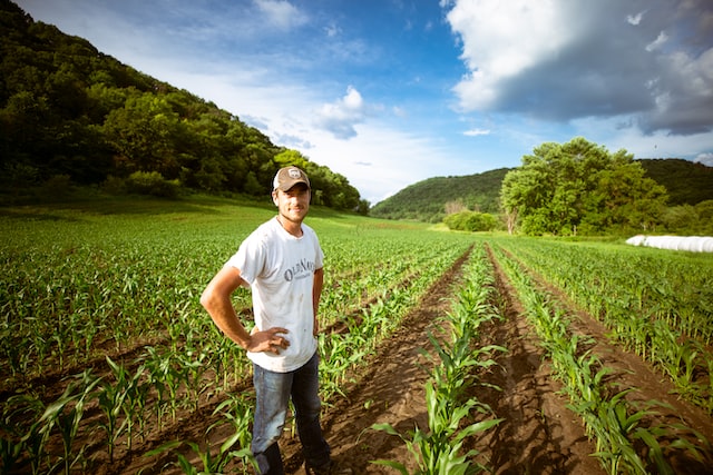 Man standing on farm field