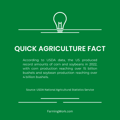 Corn and soybeans production fact
