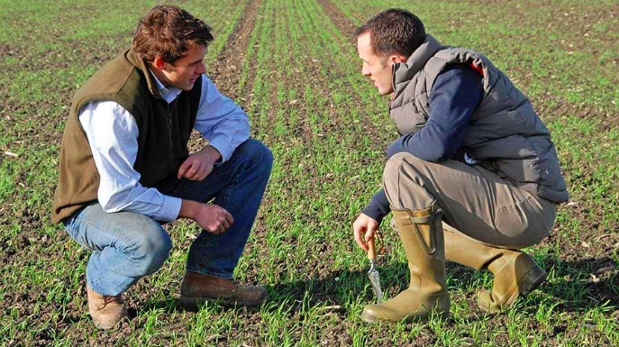 8 Practical Steps on How to Become an Agronomist