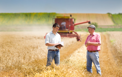 Farmers talking in the field