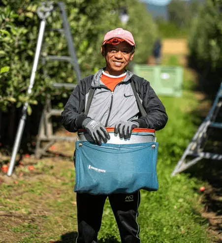 Farm worker carrying harvest container