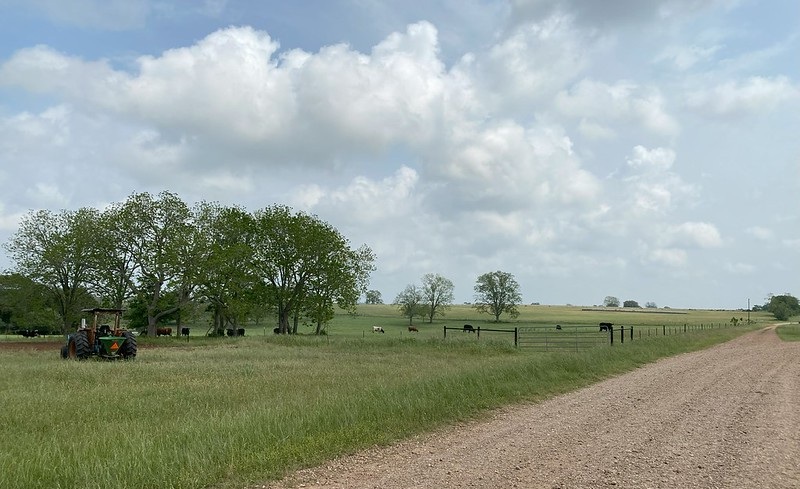Tractor and pasture